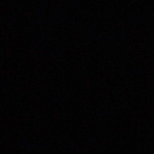 Meet your Posher, Bella